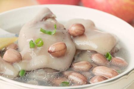 月子中心加盟，什么食物发奶效果最好