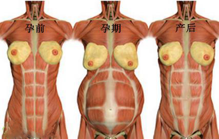 生完孩子后为啥身材迟迟不恢复，一张图告诉你真相