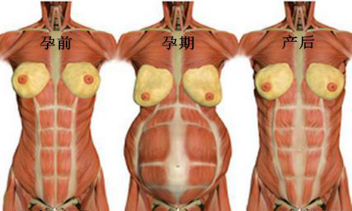 生完孩子后为啥身材迟迟不恢复，一张图告诉你真相