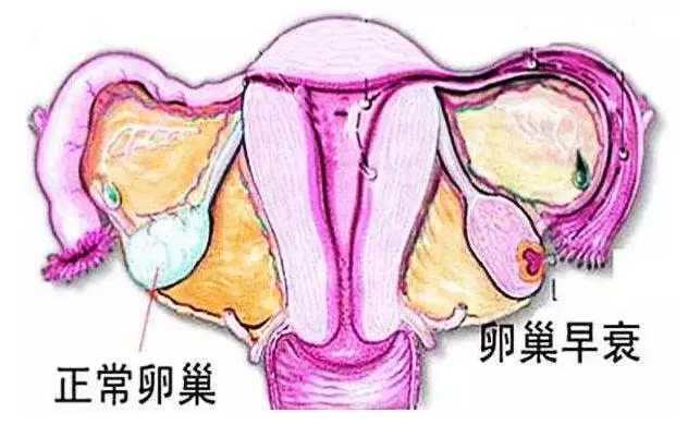 产后恢复的怎么样? 7大指标说了算！